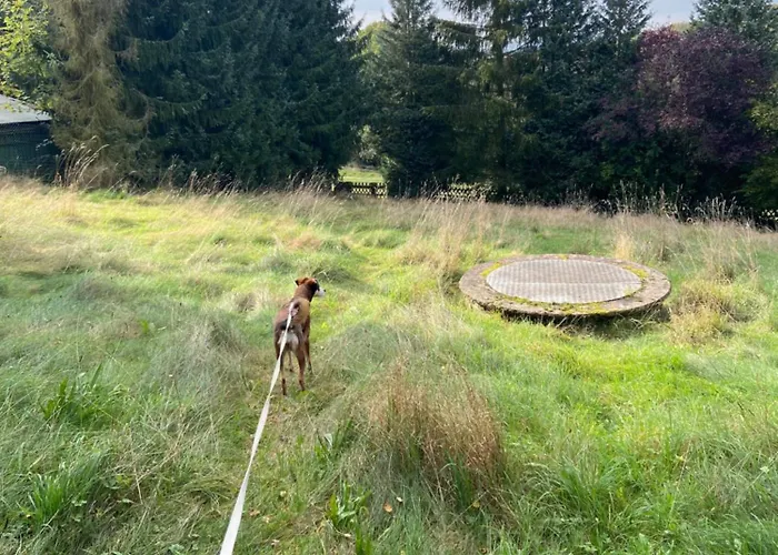 Land-haus Sonnenhang * Lorch am Rhein